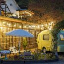 프린세스애견 이미지