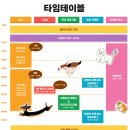 댕댕존 | 댕댕런 2025 in 대전 반려견과 함께하는 마라톤 후기