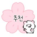 제주우대노형본점 이미지