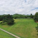 칠곡양떼목장 이미지