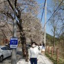 팝콘공인중개사사무소 이미지