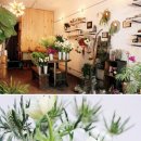 꽃사세요 꽃 이미지