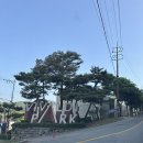 까까댕댕 | [댕댕트레킹 2026] 홍천 비발디파크 대형견 동반 트레킹 | 주차, 꿀팁 및 5K 완주 후기