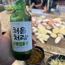 황금오리 티스토리