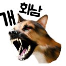 닥터호오동물병원
