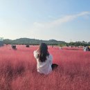 국립나주박물관 야외체험장 이미지