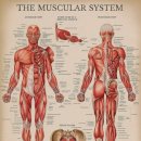 사직마디의원 이미지