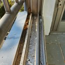 대림약품 | 순천시 대림2차 이사청소