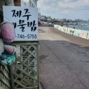 카카오 이미지