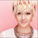 살찐 고양이 카카오 검색결과