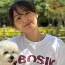 강아지 마법사 골드맘 이미지