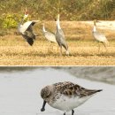 오늘의 포토뉴스 2007.10.24 수요일 이미지