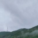 행복한153 이미지