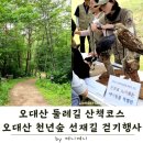 주식회사 숲길여행 | 오대산 둘레길 산책코스 | 천년숲 선재길 걷기행사 현장 후기