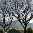 경호강야영장 이미지