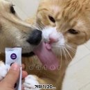 GG스크린골프 | 징징이의 혼자 재밌는 일상 _ 25.09.09