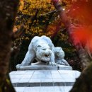 고대안경 이미지