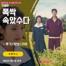 넷플릭스 폭싹 속았수다 (2막 7화 후기/리뷰/줄거리/요약편) - &lt;계장 선거/과외 대리시험/은명의 연애...