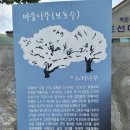 30th.[남해군] 노도 🏝 "문학에 섬" 이미지