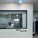 서현역 초등학생 놀거리, 분당 고양이카페 못말리는고양이 서현점 후기 :)