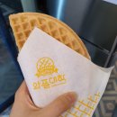 와플대학 이미지