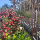 남대천로 이미지