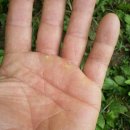 금산4구 이미지