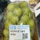 담뜰 | 담뜰 공릉점에서 신선한 샤인머스켓 저렴하게 구입한 후기