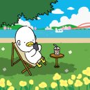 인디스픽