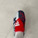 3539 | 아디다스 프레데터 로테이로 ft 구매후기 / ie3539