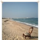 바우길 12구간 이미지