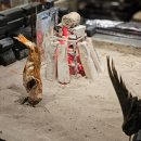 원시로4 | 동래 이자카야 추천 파치파치 원시화로구이 내돈내산 후기