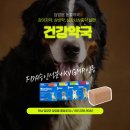 담양이비인후과의원 이미지