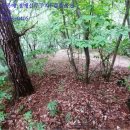 연론리 마을회관 이미지