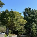 서천 숙소 :: 희리산 자연휴양림 연립동 잣나무 객실 후기