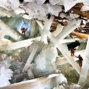 수정-109 이미지