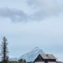 차호로록 이미지