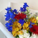 유카플라워&가든 이미지