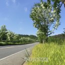 별다리 캠핑 이미지