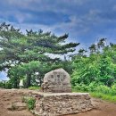 국립유명산자연휴양림 이미지