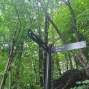 조무락계곡 이미지