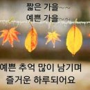 고결함과 &#39;석인성시(惜吝成屎)&#39; 이미지