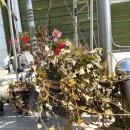 용우외가농장 이미지