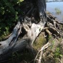 몽2호텔 이미지