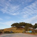 대산면공설운동장 이미지