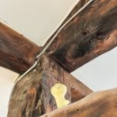 해피 파마씨 이미지