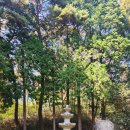 둔내정비 | 25.10/26~28 순천 나주여행