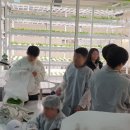 365해피팜