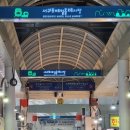 중앙로48번길 | 제주 서귀포 야시장 올레시장치킨 '메밀꽃치킨' 마늘치킨, 닭강정