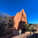 영종H동물의료센터 | 한국입국시 광견병 항체 검사 결과지, 없으면 어떻게 될까? (실제 계류 경험담)